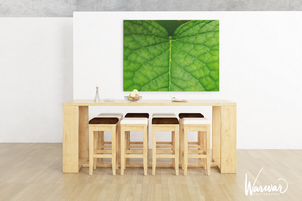 Macro Leaf- Fine Art Print