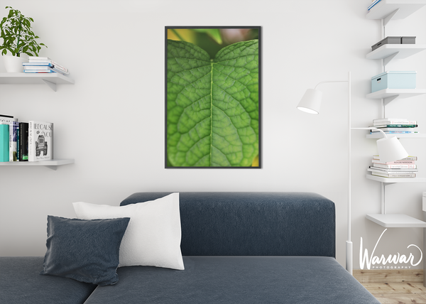 Macro Leaf- Fine Art Print