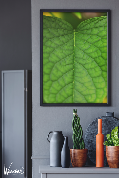 Macro Leaf- Fine Art Print