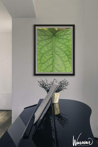 Macro Leaf- Fine Art Print