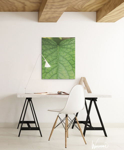 Macro Leaf- Fine Art Print