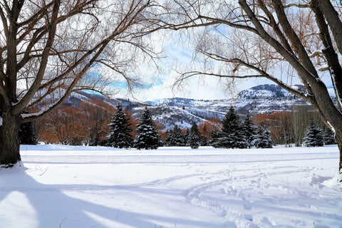 Snow Yard - Fine Art Print