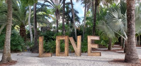Love - Fine Art Print