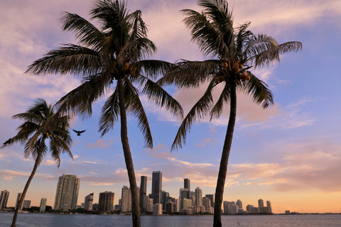 Key Biscayne Sunset - Fine Art Print