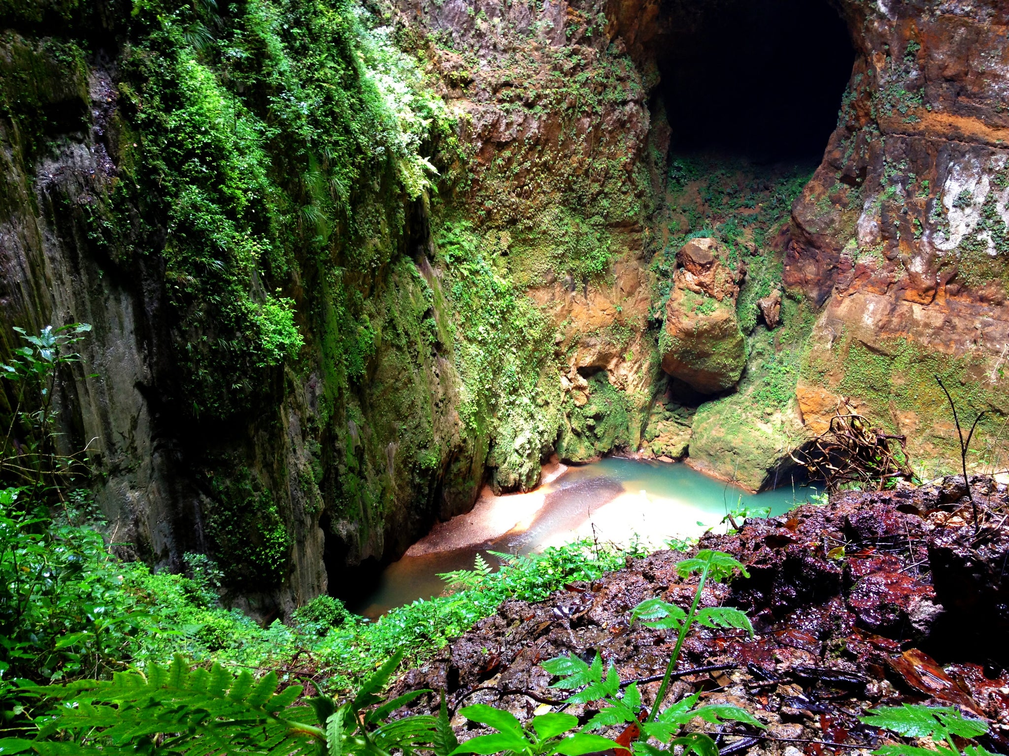 Cuevas de Camuy PR - Fine Art Print