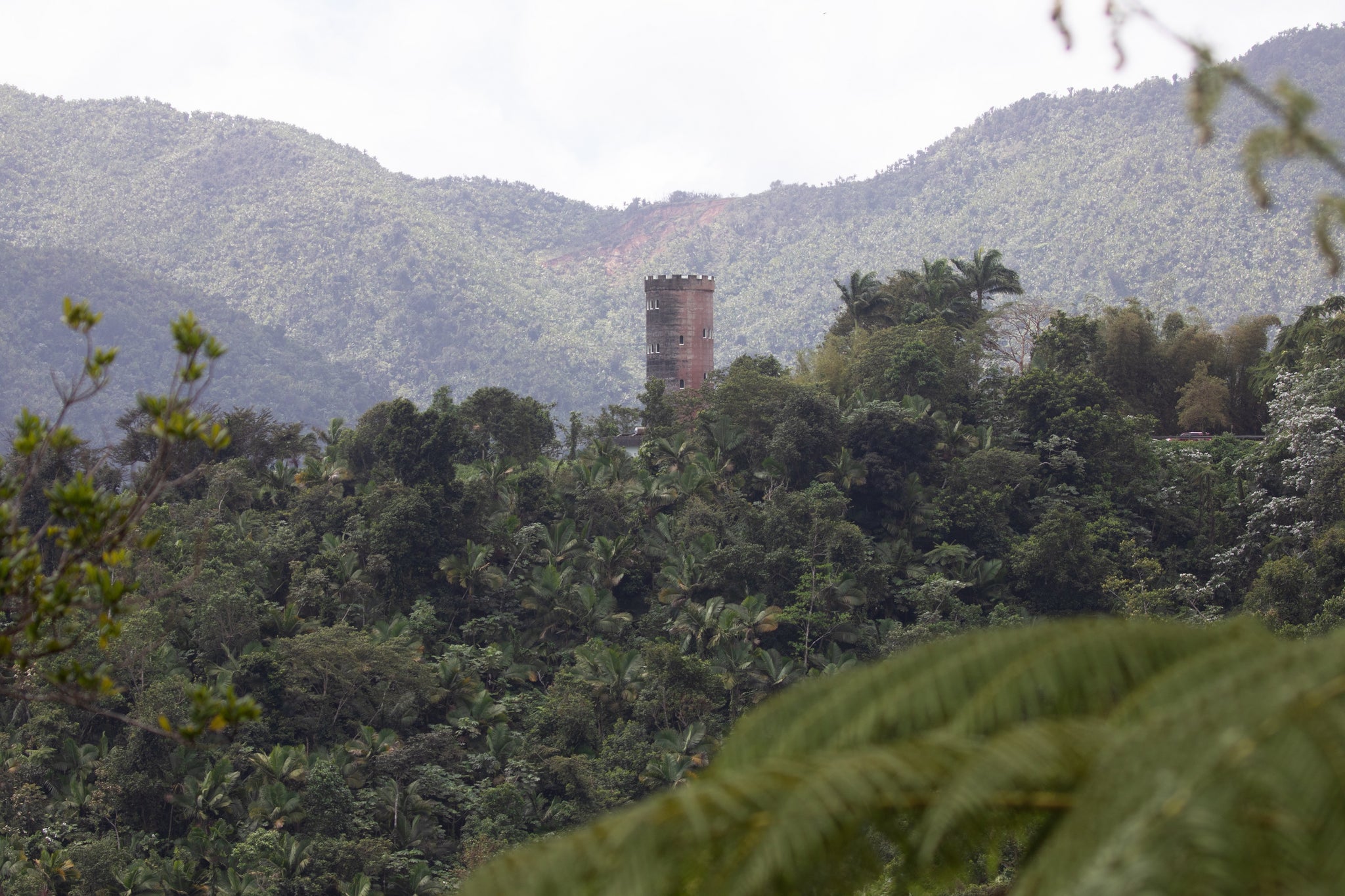 PR Yunque Tower D1 - Fine Art Print