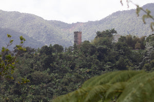 PR Yunque Tower D1 - Fine Art Print