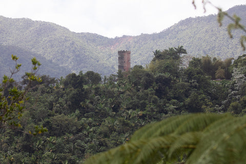 PR Yunque Tower D1 - Fine Art Print