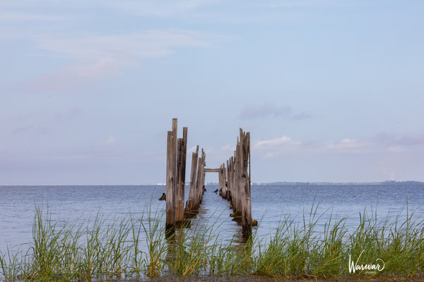 Everglades Log Path - Fine Art Print