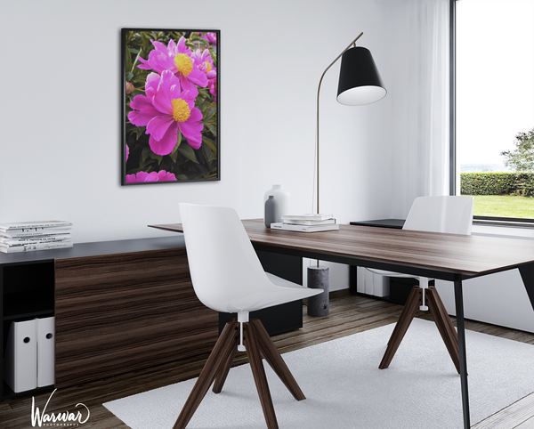 Montreal Flowers - Fine Art Print