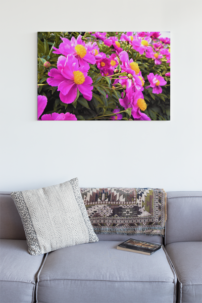 Montreal Flowers - Fine Art Print