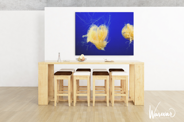 Jelly Fish Y1 - Fine Art Print