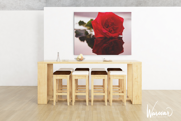 Rose Reflection - Fine Art Print