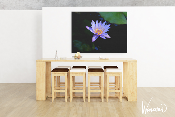 Lilly Flower - Fine Art Print