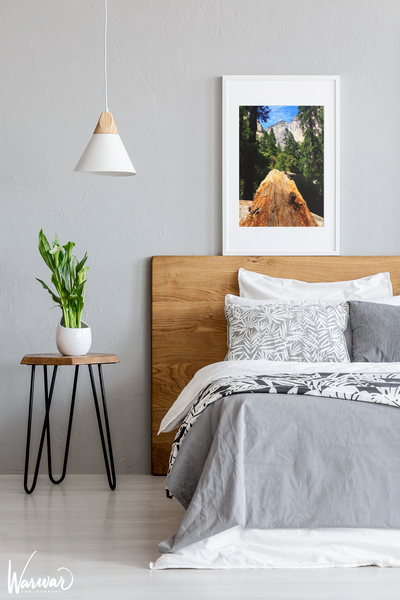 Yosemite Fallen Tree - Fine Art Print