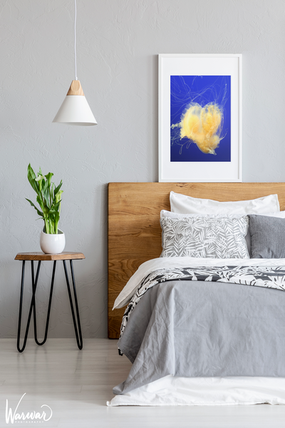 Jelly Fish Y1 - Fine Art Print