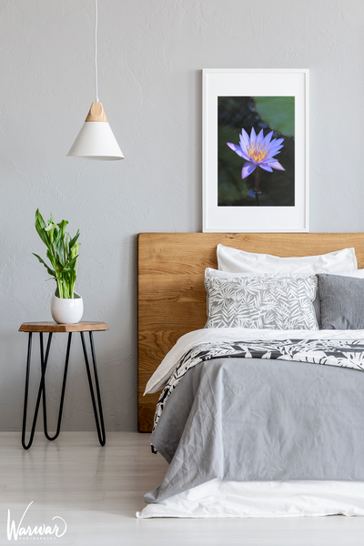 Lilly Flower - Fine Art Print