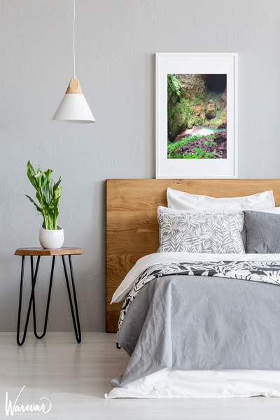 Cuevas de Camuy PR - Fine Art Print