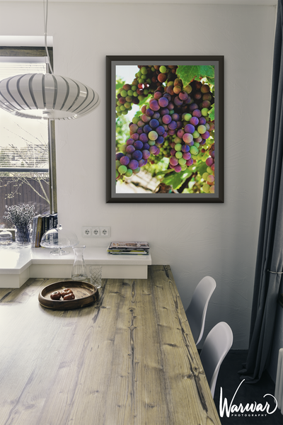 Grapes SF2 - Fine Art Print