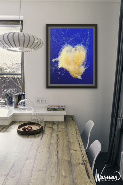 Jelly Fish Y1 - Fine Art Print