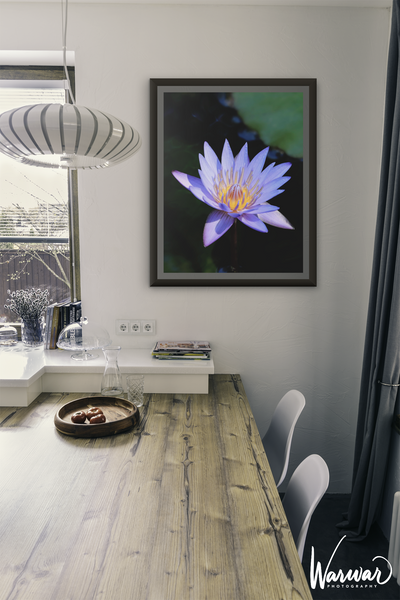 Lilly Flower - Fine Art Print