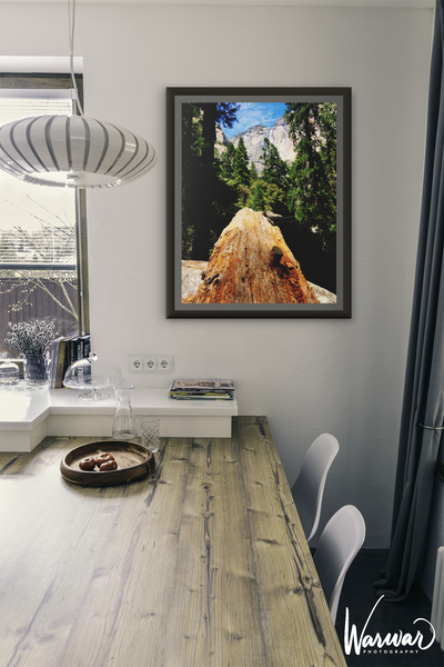 Yosemite Fallen Tree - Fine Art Print