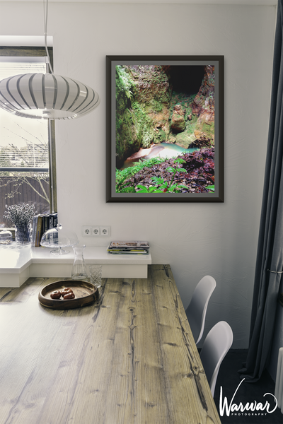 Cuevas de Camuy PR - Fine Art Print