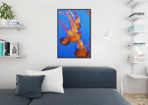 Jelly Fish O1 - Fine Art Print