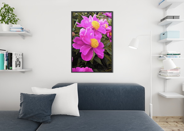 Montreal Flowers - Fine Art Print