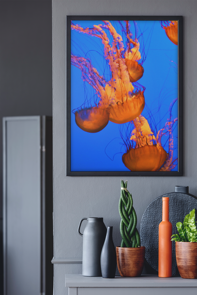 Jelly Fish O1 - Fine Art Print