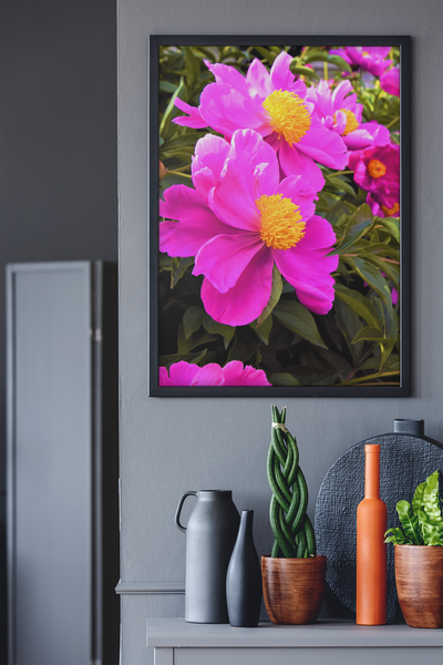 Montreal Flowers - Fine Art Print