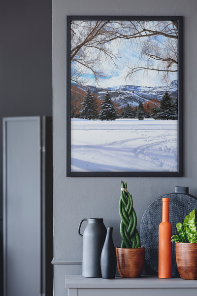 Snow Yard - Fine Art Print