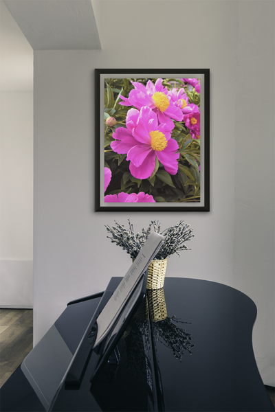 Montreal Flowers - Fine Art Print