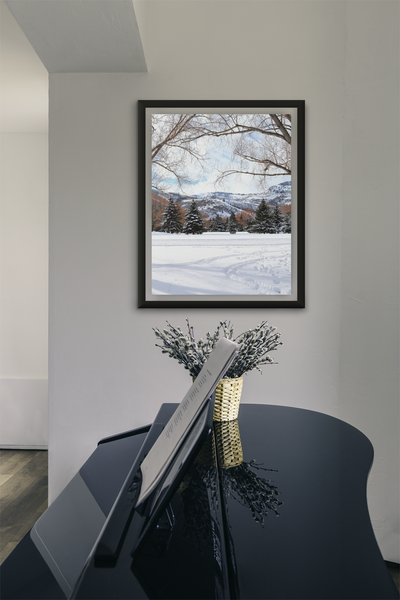 Snow Yard - Fine Art Print