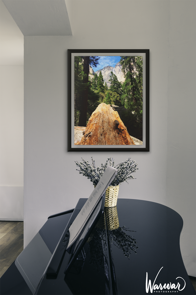Yosemite Fallen Tree - Fine Art Print