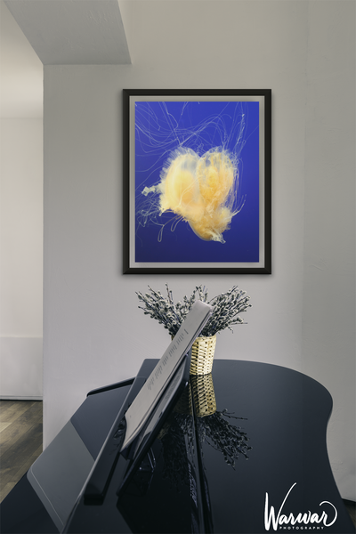 Jelly Fish Y1 - Fine Art Print