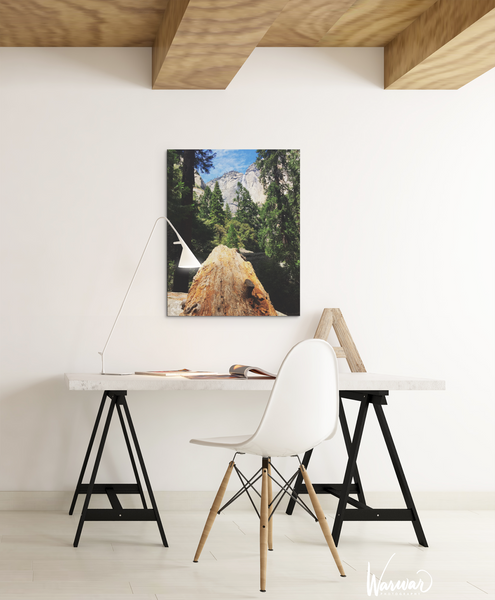Yosemite Fallen Tree - Fine Art Print