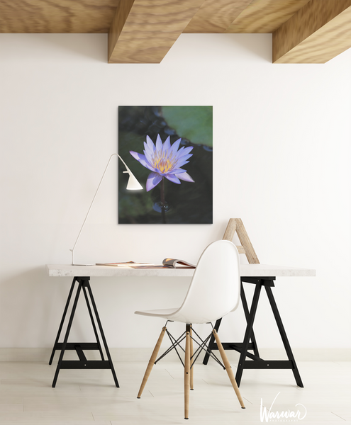 Lilly Flower - Fine Art Print