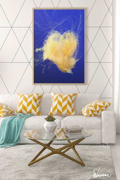 Jelly Fish Y1 - Fine Art Print