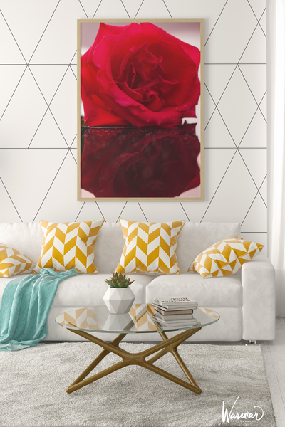 Rose Reflection - Fine Art Print