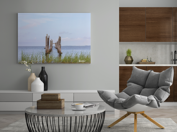 Everglades Log Path - Fine Art Print