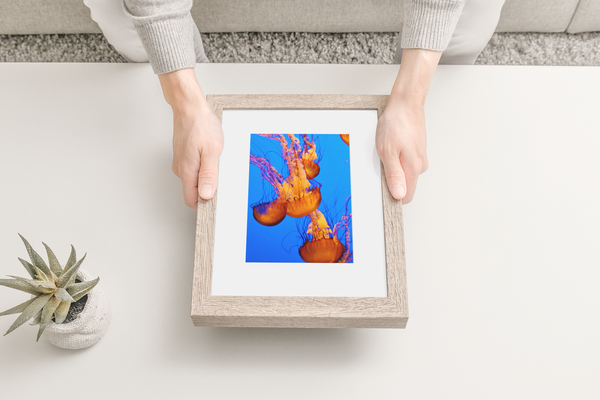 Jelly Fish O1 - Fine Art Print
