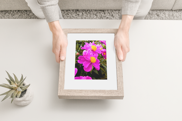 Montreal Flowers - Fine Art Print