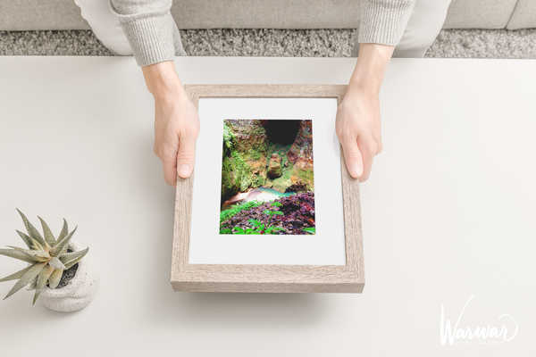 Cuevas de Camuy PR - Fine Art Print