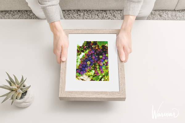 Grapes SF2 - Fine Art Print