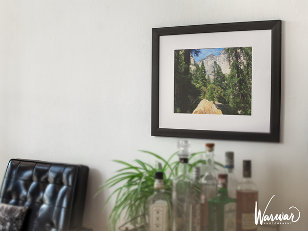Yosemite Fallen Tree - Fine Art Print