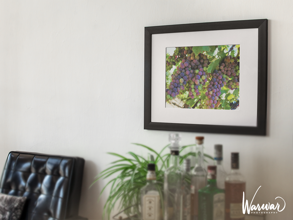 Grapes SF2 - Fine Art Print