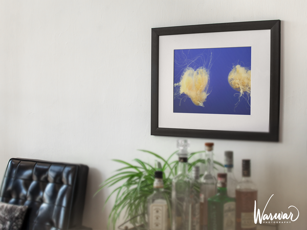 Jelly Fish Y1 - Fine Art Print