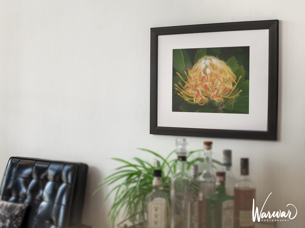 Yellow Feathered Flower - Fine Art Print